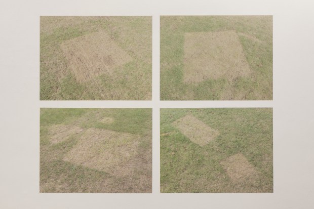 4 digital prints pasted onto the wall of photographs of shapes left on grass by heavy objects, leaving lighter coloured areas behind.  